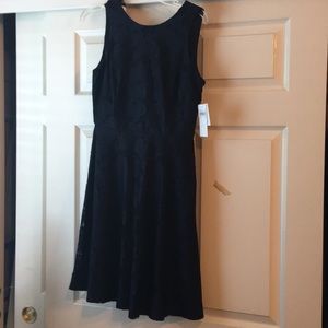Navy blue sheath lace dress